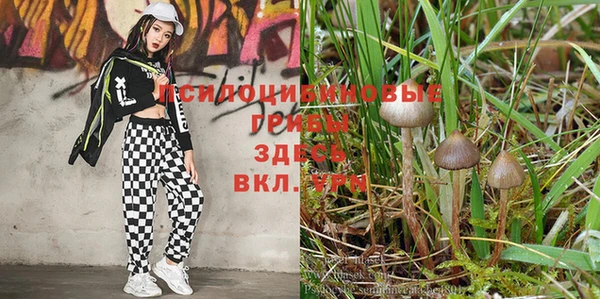 гидра Абдулино