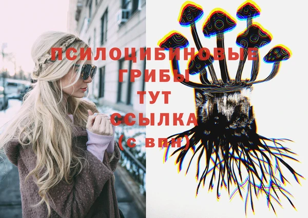 COCAINE Дубна
