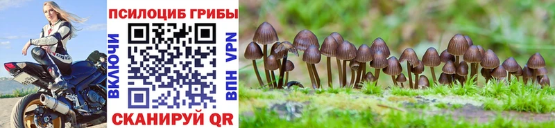 Псилоцибиновые грибы Cubensis  где продают   Карталы 