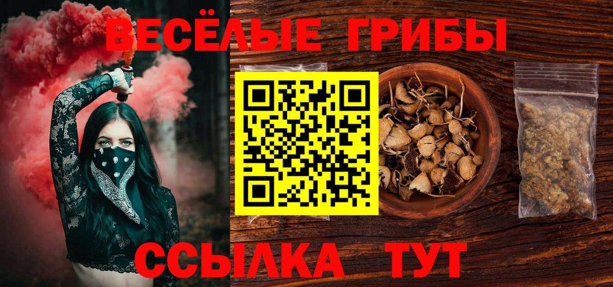 Галлюциногенные грибы мухоморы Карталы