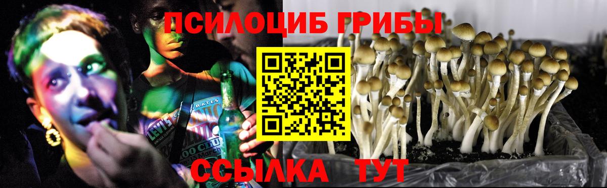 Карталы  Галлюциногенные грибы Psilocybine cubensis  где продают наркотики  Вход с VPN 